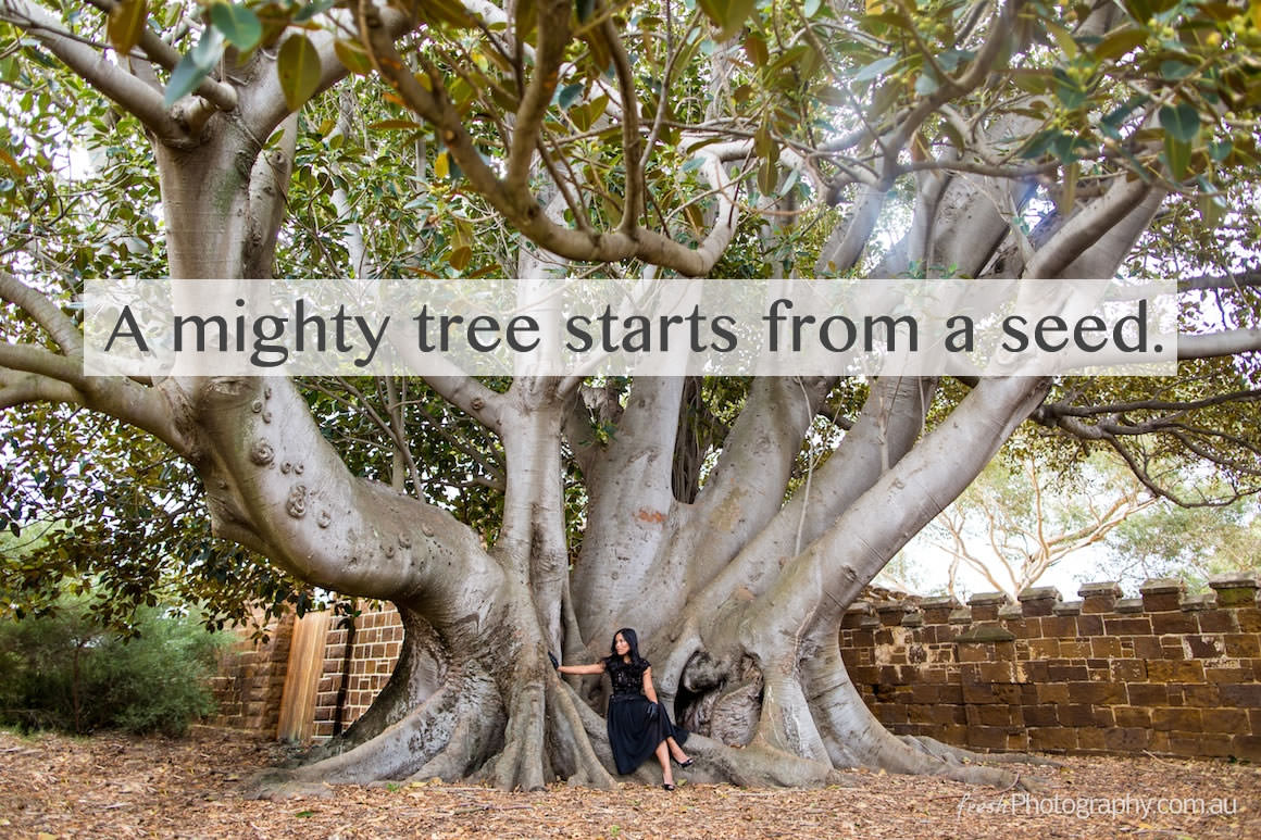 inspiring tree quote