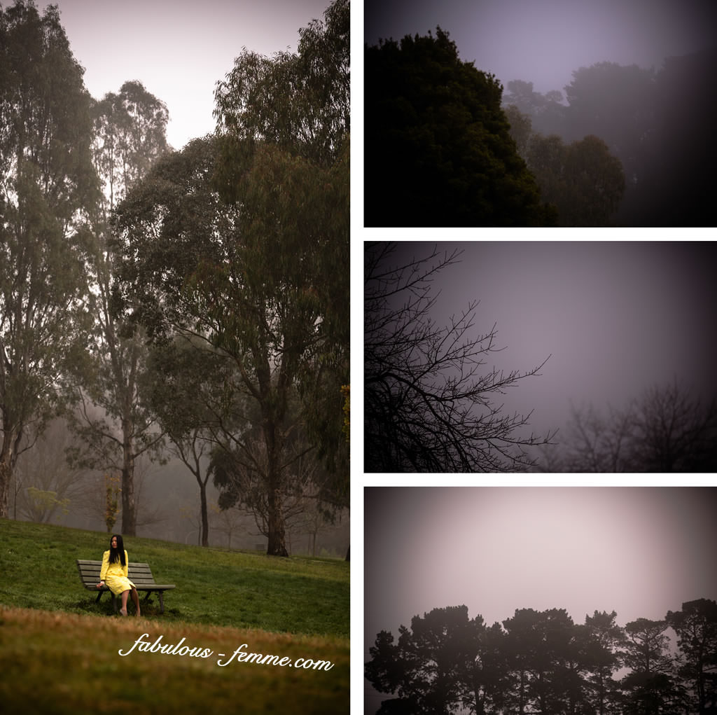 melbourne australia - park fog