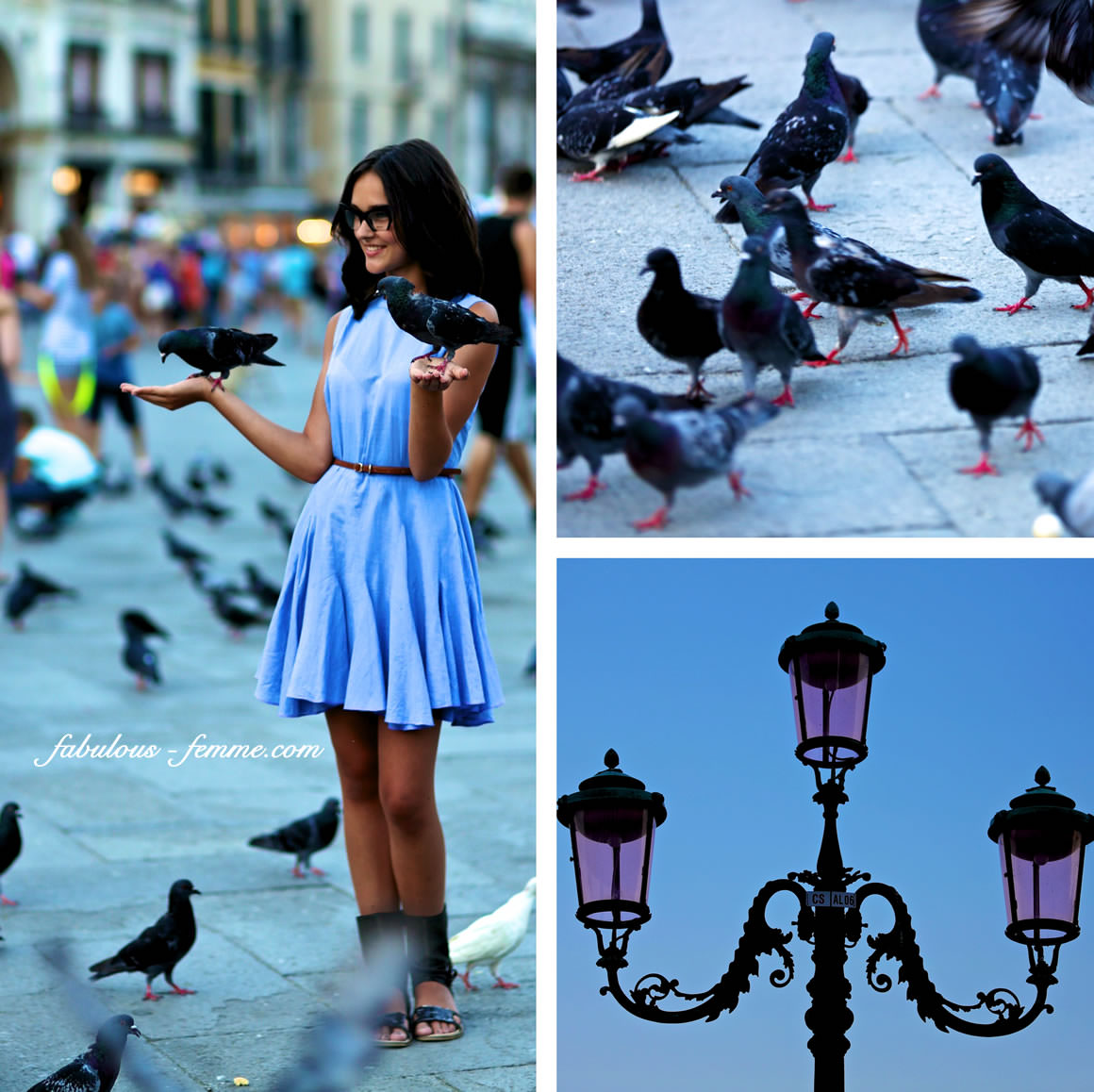 pigeons on pretty girl in venice