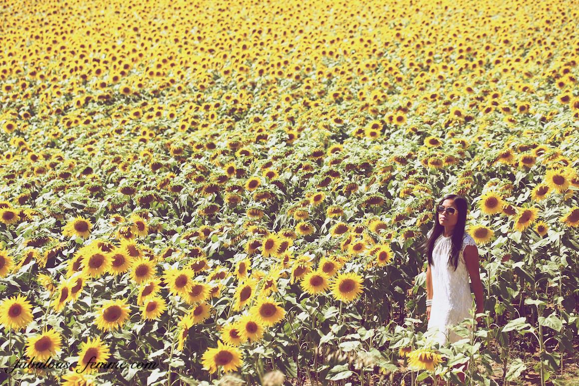 girl walking in sunflower field
