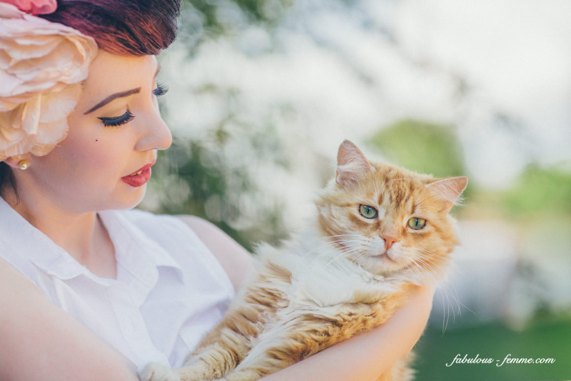 cat blog - pinup and vintage looks with cats