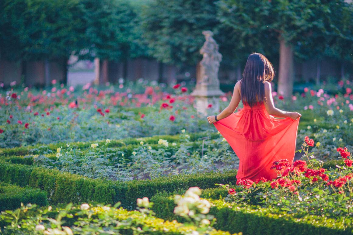 red dress in red roses - creative fashion photography - stylish