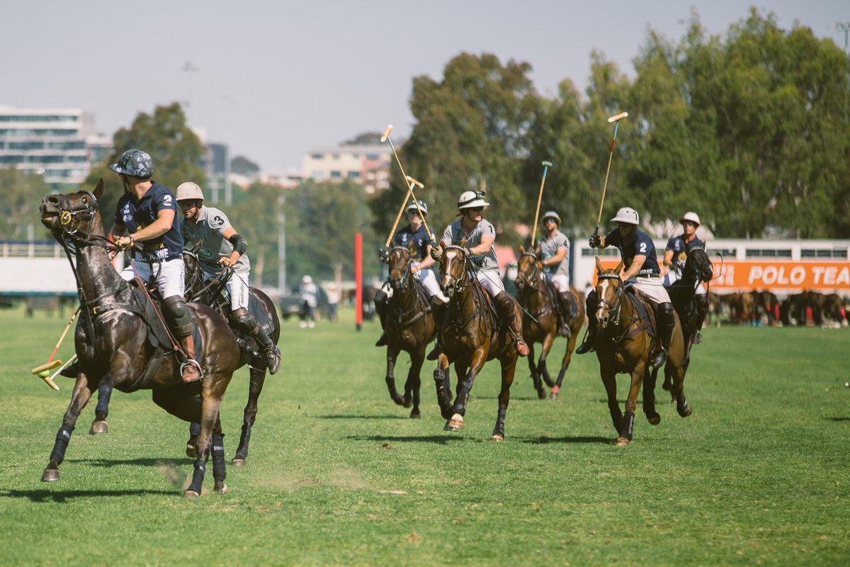 polo game in action horses
