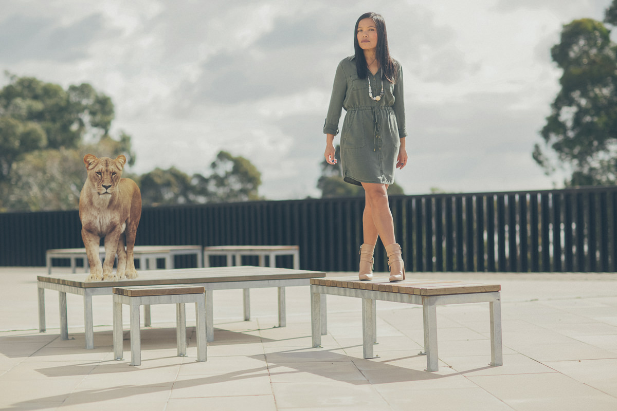 lion in photoshoot for fashion label - urban safari - stylish outfits