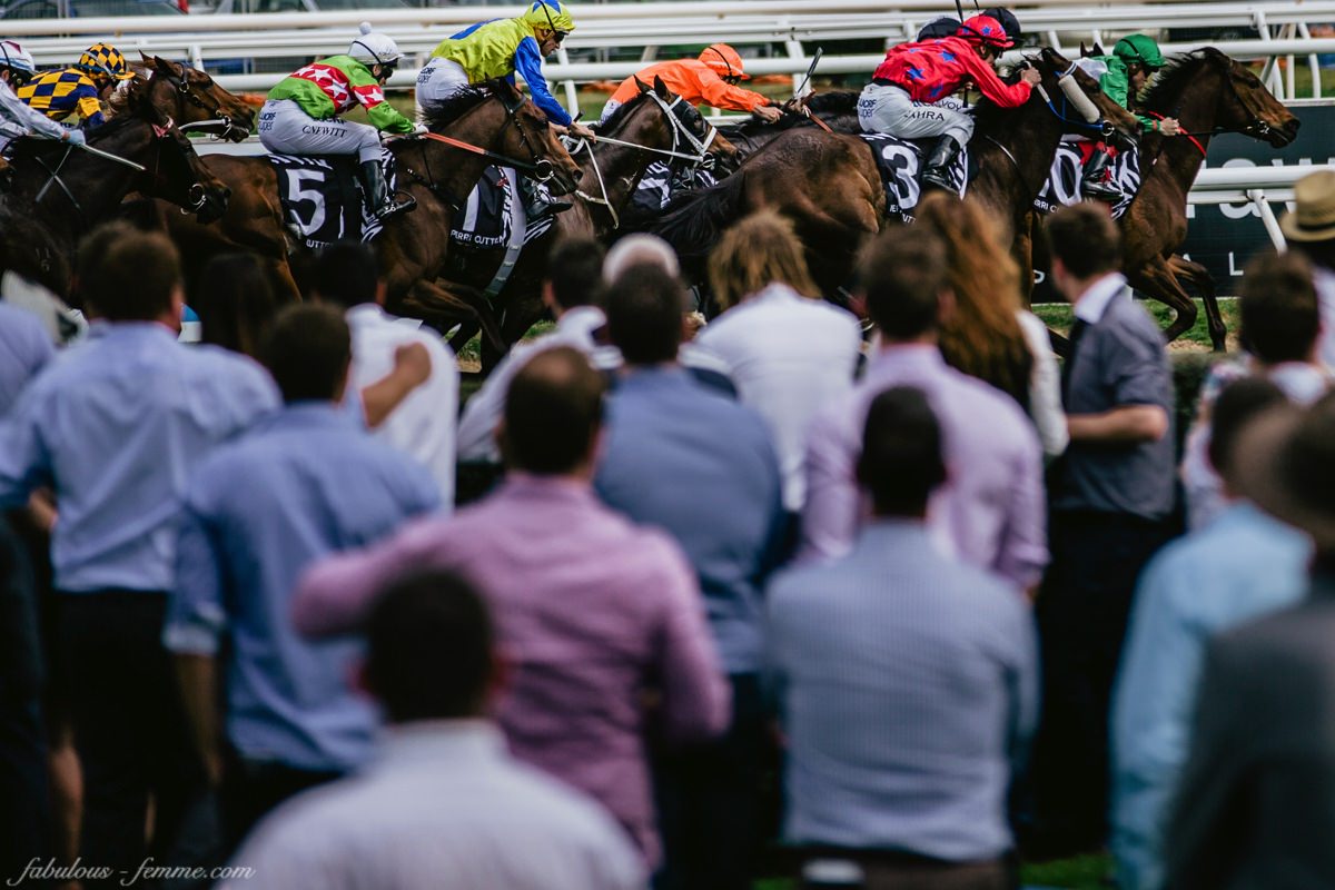 spring racing carnival - the first row at the events