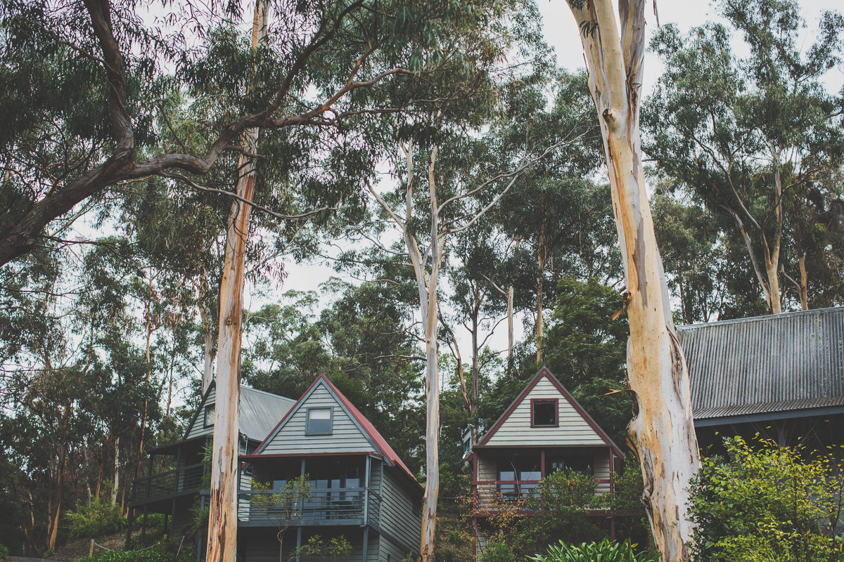 cabins in lorne - better than bed and breakfast