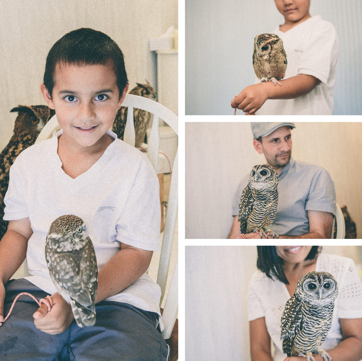little kid with owl on his hand - owl cafe tokyo