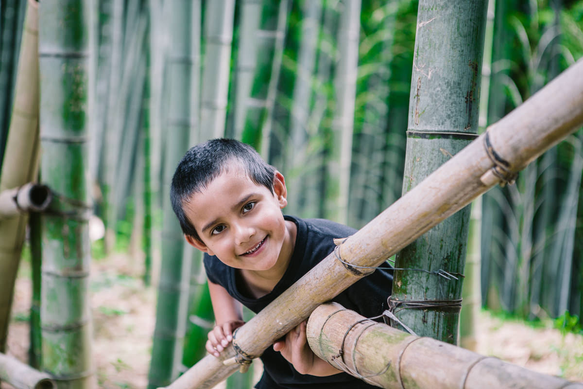 fun in the bamboo forest - travel experiences with kids