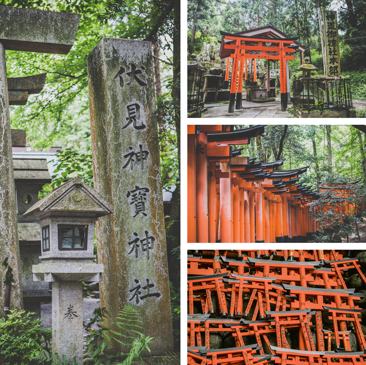 impressions of tempes in kyoto - travel photography