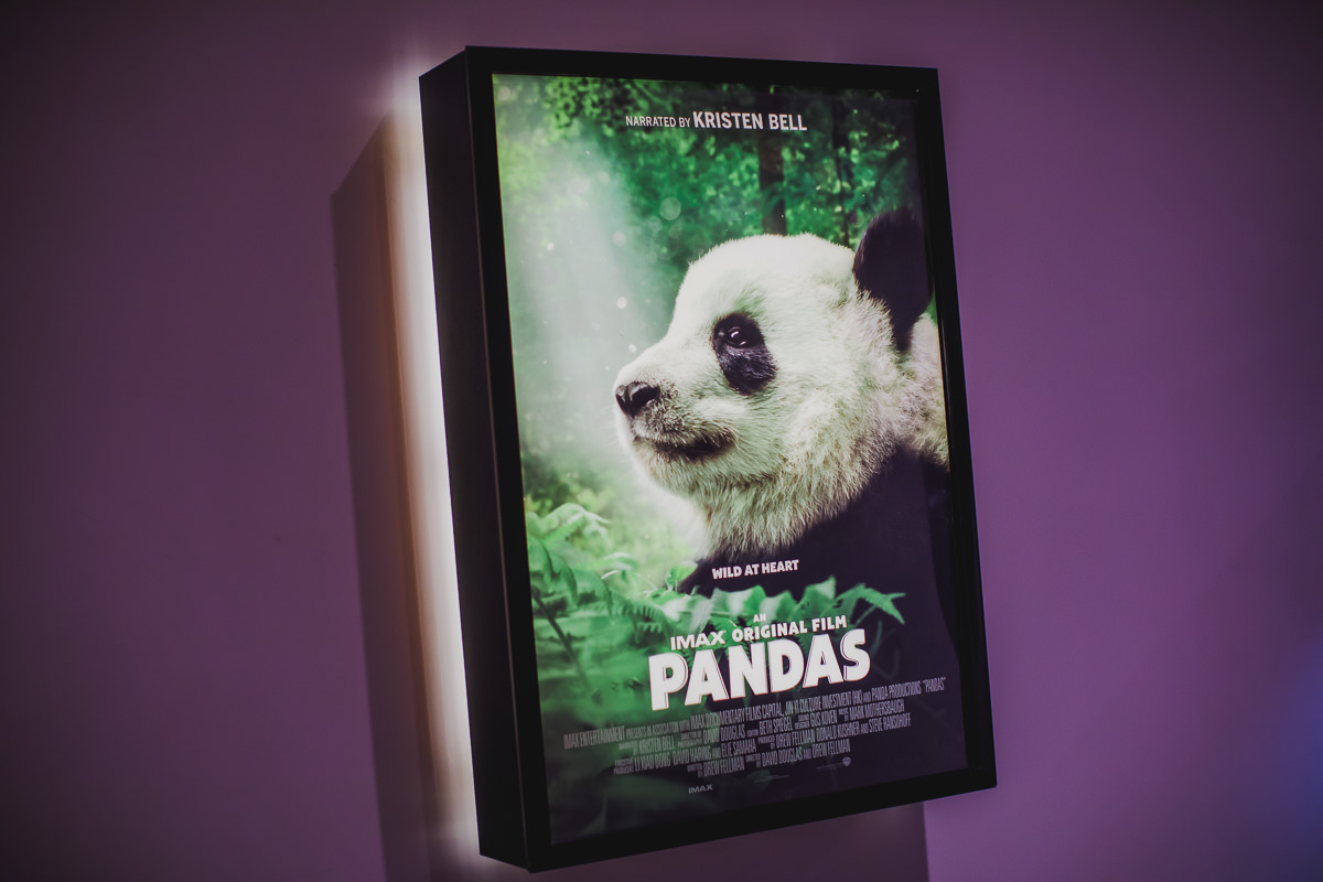 Pandas at Imax