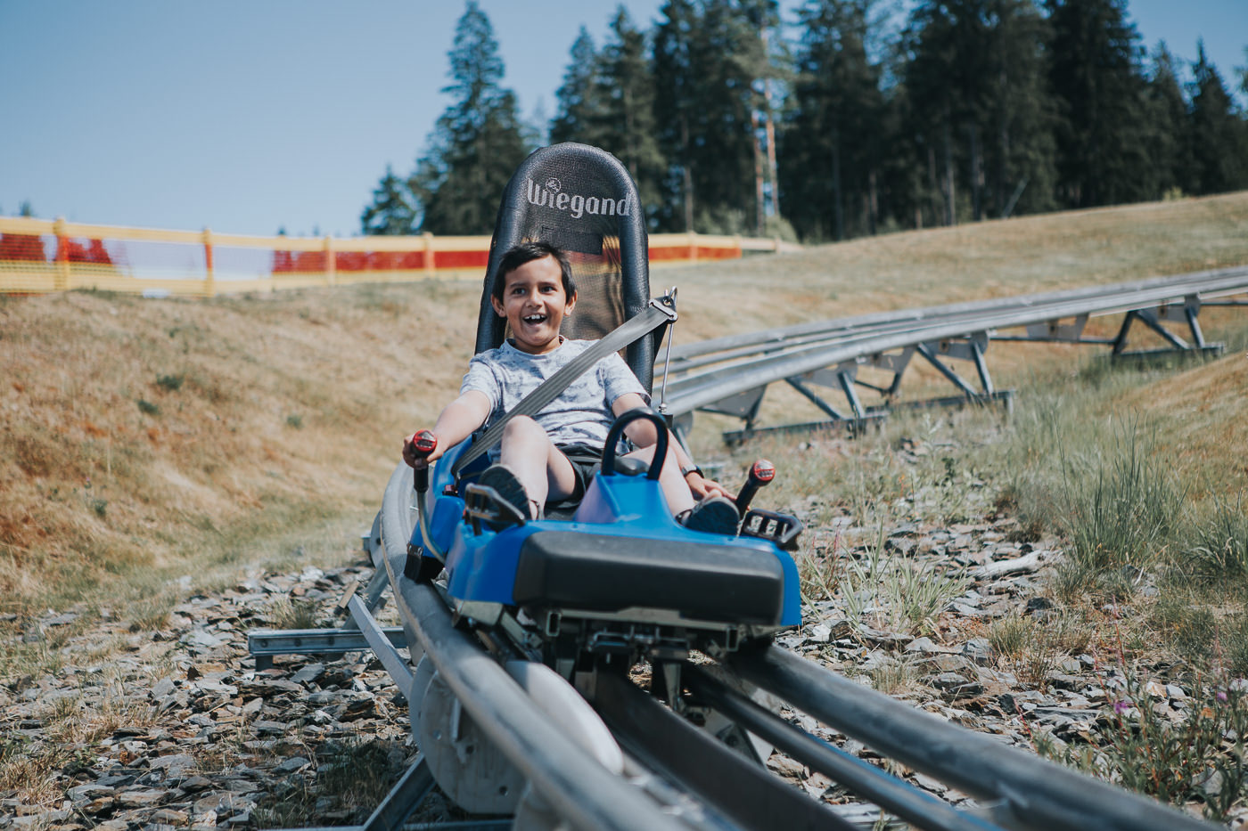 kid on summer sled - high speed fun