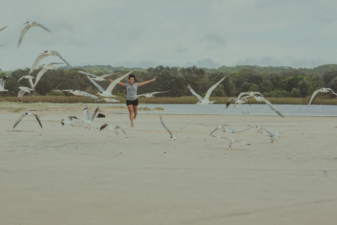 girl chasing seagulls - happy