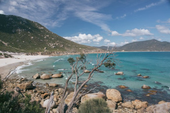 Wilsons Prom - Wombat Country