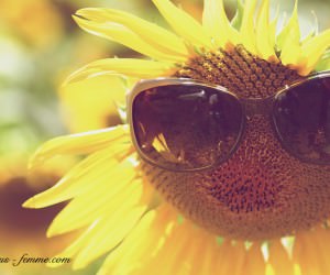 sunglasses on sunflower - endless field of sunflowers