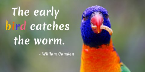 inspirational quote - the early bird catches the worm