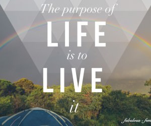 The purpose of Life is to Live it