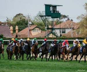 racing in caulfield - event photography