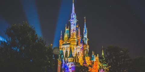 Toky Disneyland Castle by night - Travel photos