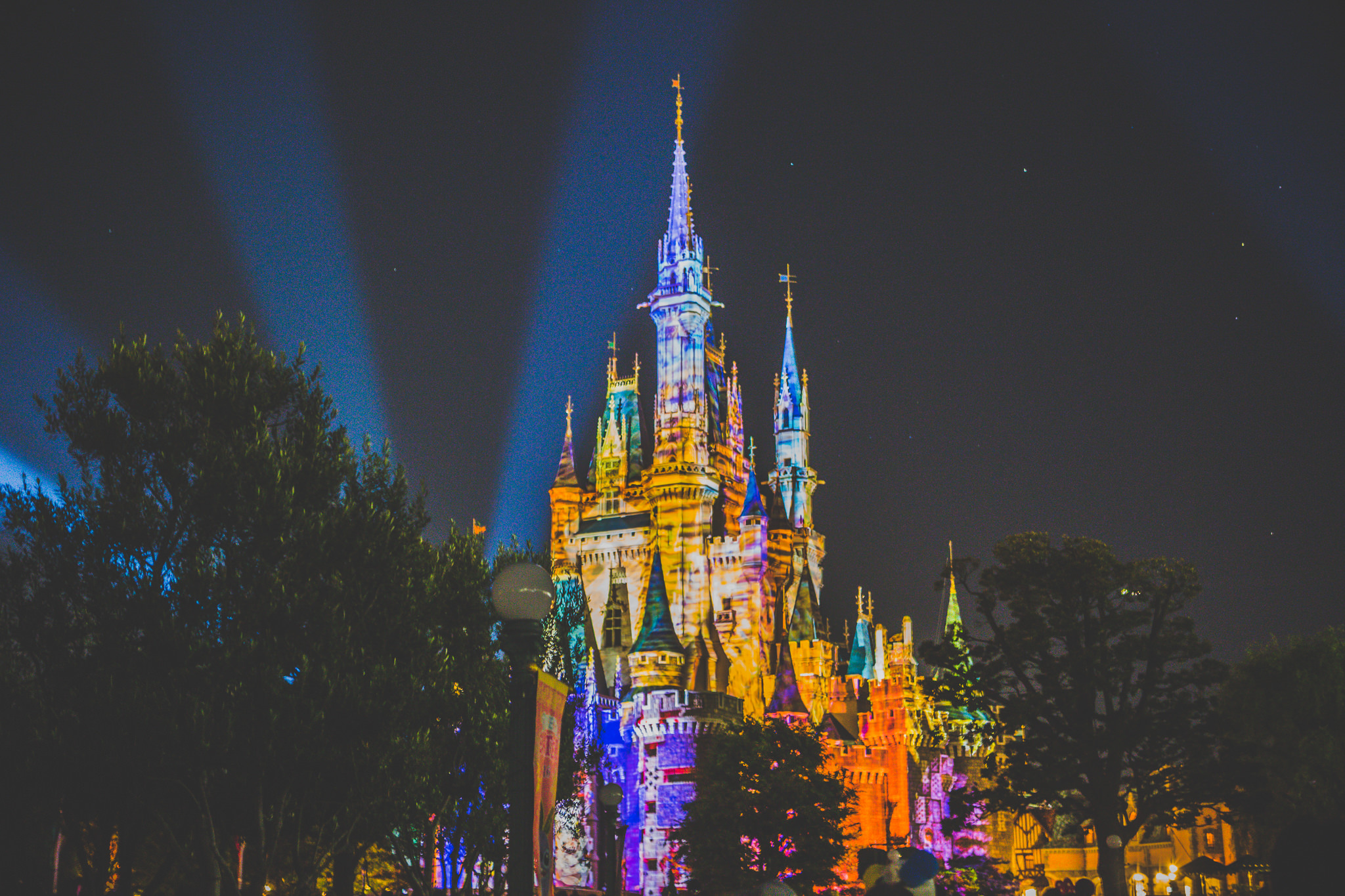 Toky Disneyland Castle by night - Travel photos