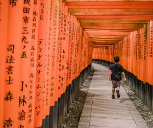 Red Gate Temple in Kyoto - Japan - Fushimi Inari-taishi - Melbourne Travel Blogger and Photographer
